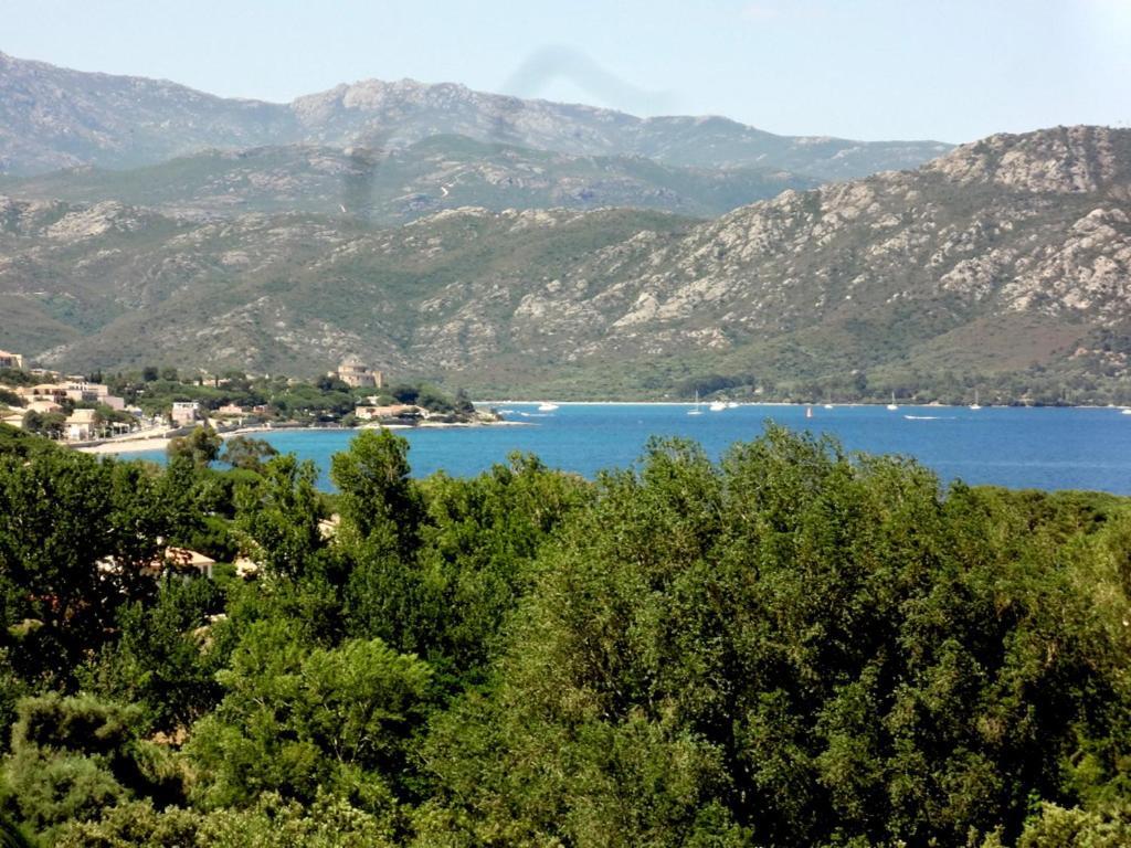 Apartmán Saint-Florent, Agreable Studio Climatise, Vue Panoramique Sur Le Golfe Exteriér fotografie